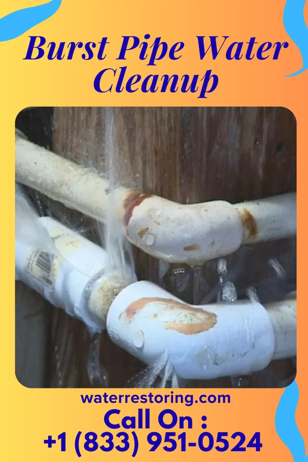 Burst Pipe Water Cleanup in Piketon, OH