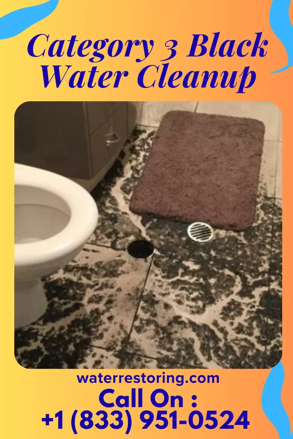 Category 3 Black Water Cleanup in Piketon, OH
