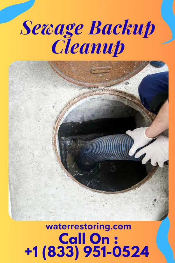 Sewage Backup Cleanup in Piketon, OH